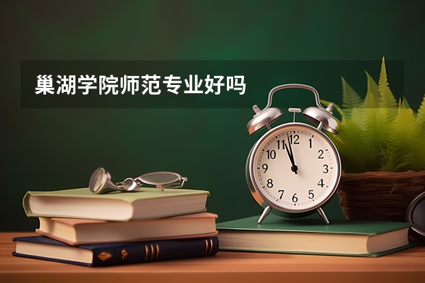 巢湖学院师范专业好吗