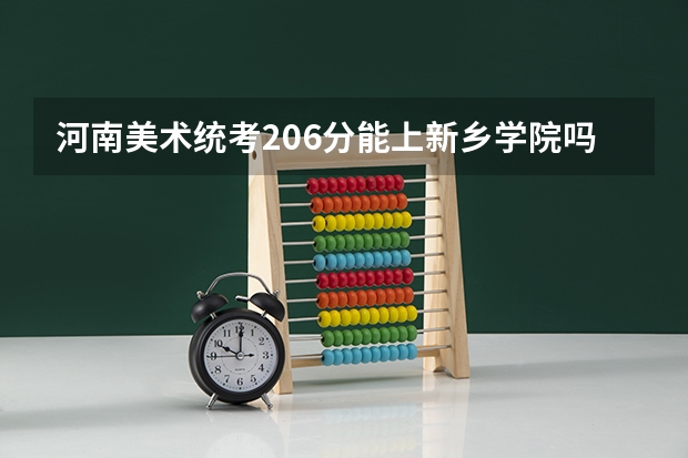 河南美术统考206分能上新乡学院吗？