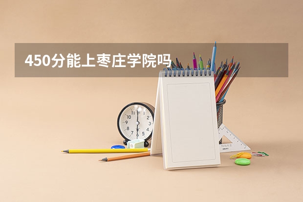 450分能上枣庄学院吗