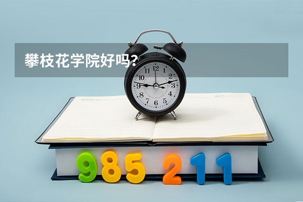 攀枝花学院好吗？