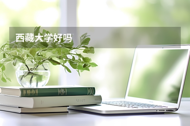 西藏大学好吗