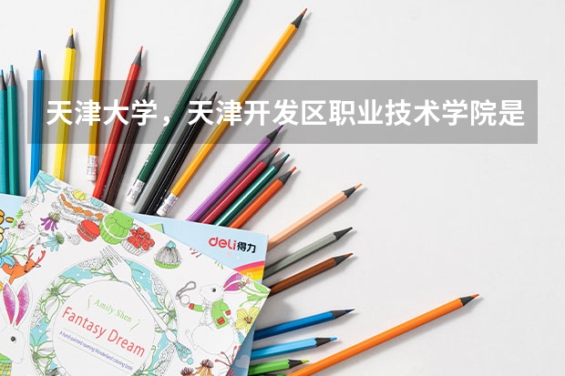 天津大学，天津开发区职业技术学院是什么院校是几本