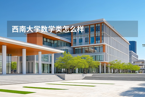 西南大学数学类怎么样