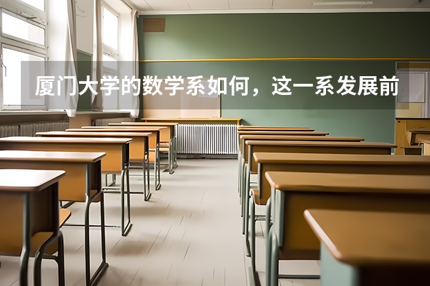 厦门大学的数学系如何，这一系发展前景怎样
