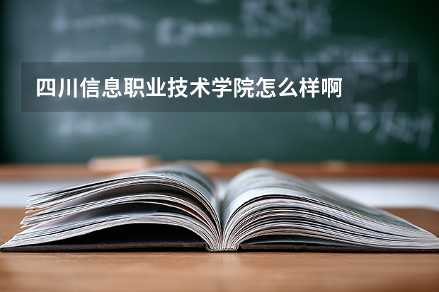 四川信息职业技术学院怎么样啊