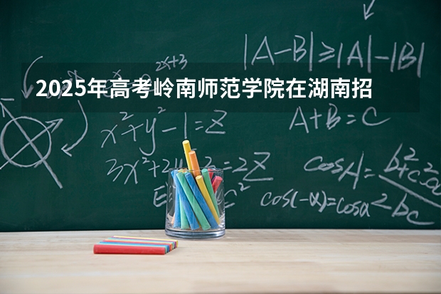 2025年高考岭南师范学院在湖南招生计划怎么样