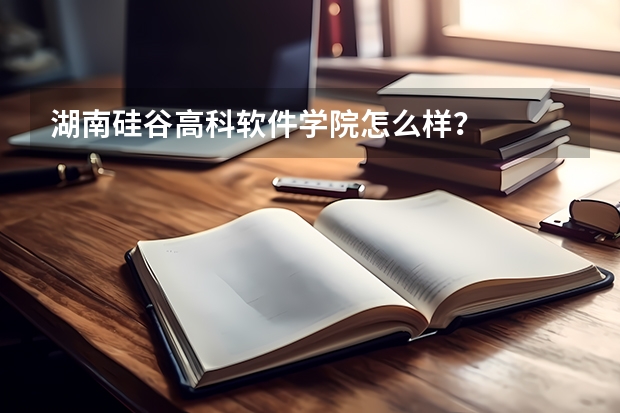 湖南硅谷高科软件学院怎么样？