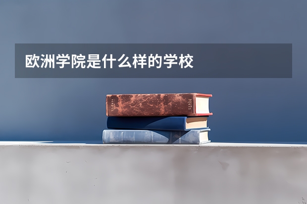 欧洲学院是什么样的学校