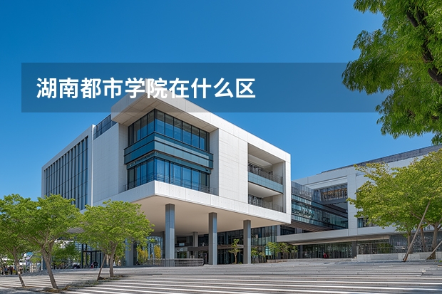 湖南都市学院在什么区