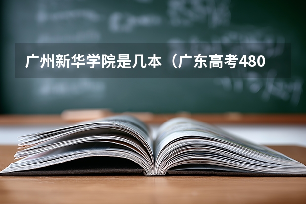 广州新华学院是几本（广东高考480分文科上几本）