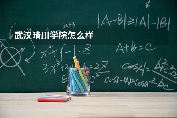 武汉晴川学院怎么样