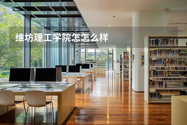 维坊理工学院怎怎么样