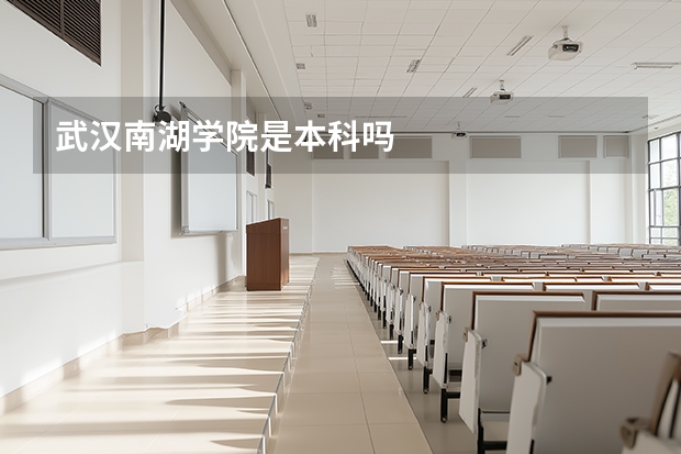 武汉南湖学院是本科吗