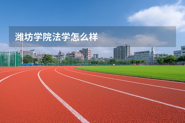 潍坊学院法学怎么样