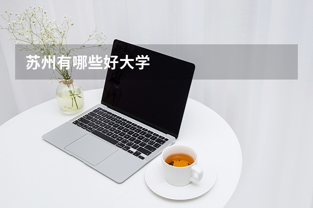 苏州有哪些好大学