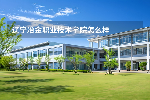 辽宁冶金职业技术学院怎么样