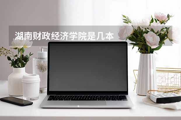 湖南财政经济学院是几本
