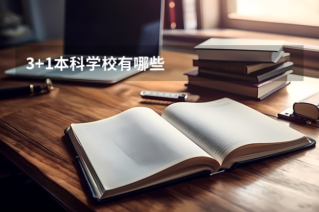 3+1本科学校有哪些