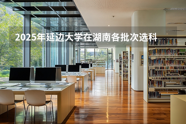 2025年延边大学在湖南各批次选科要求（2026年参考）