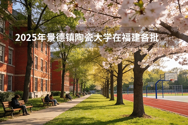 2025年景德镇陶瓷大学在福建各批次选科要求（2026年参考）