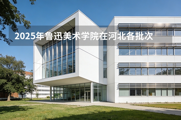 2025年鲁迅美术学院在河北各批次选科要求（2026年参考）