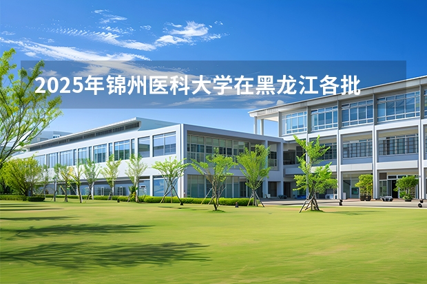 2025年锦州医科大学在黑龙江各批次选科要求（2026年参考）