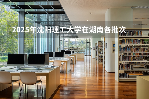 2025年沈阳理工大学在湖南各批次选科要求（2026年参考）