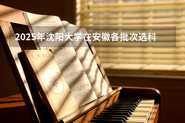 2025年沈阳大学在安徽各批次选科要求（2026年参考）