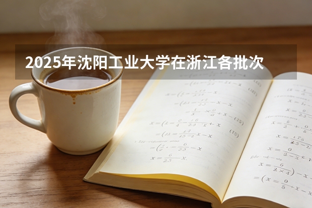 2025年沈阳工业大学在浙江各批次选科要求（2026年参考）