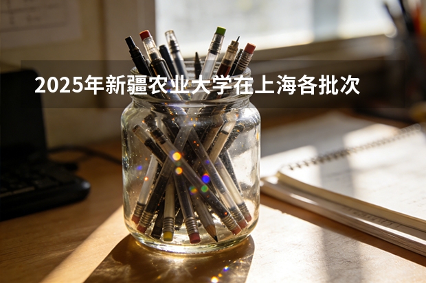 2025年新疆农业大学在上海各批次选科要求（2026年参考）
