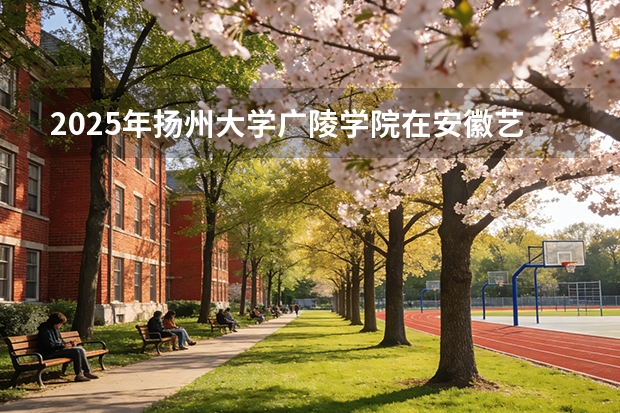2025年扬州大学广陵学院在安徽艺术类投档分数线（2026年参考）