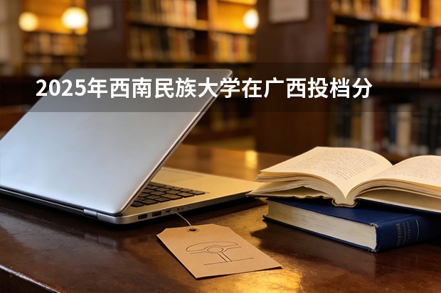 2025年西南民族大学在广西投档分数线（2026年参考）