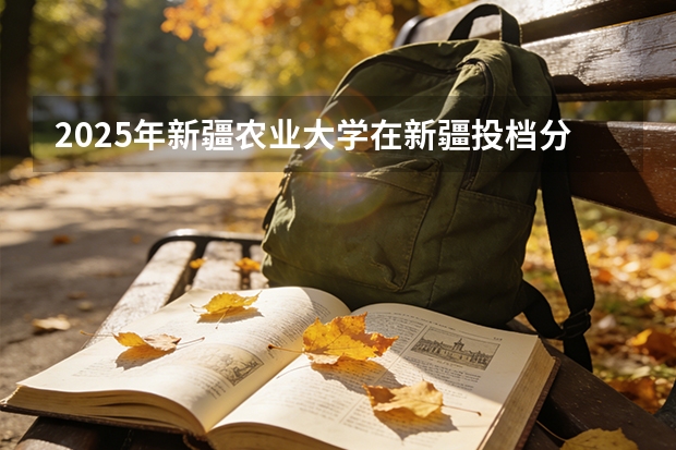 2025年新疆农业大学在新疆投档分数线（2026年参考）