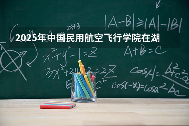 2025年中国民用航空飞行学院在湖北各批次选科要求（2026年参考）
