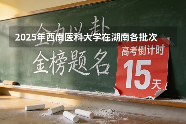 2025年西南医科大学在湖南各批次选科要求（2026年参考）