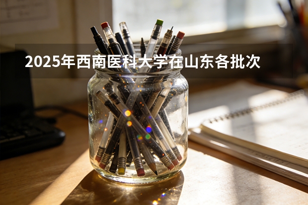 2025年西南医科大学在山东各批次选科要求（2026年参考）