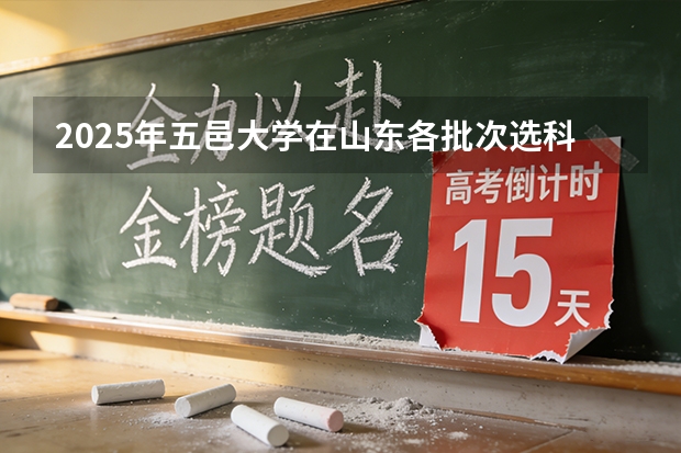 2025年五邑大学在山东各批次选科要求（2026年参考）