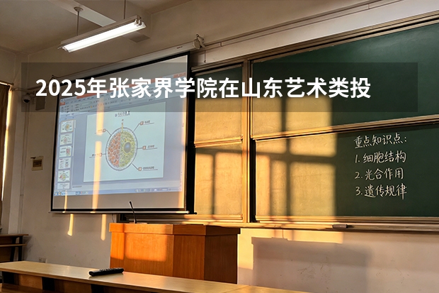 2025年张家界学院在山东艺术类投档分数线（2026年参考）