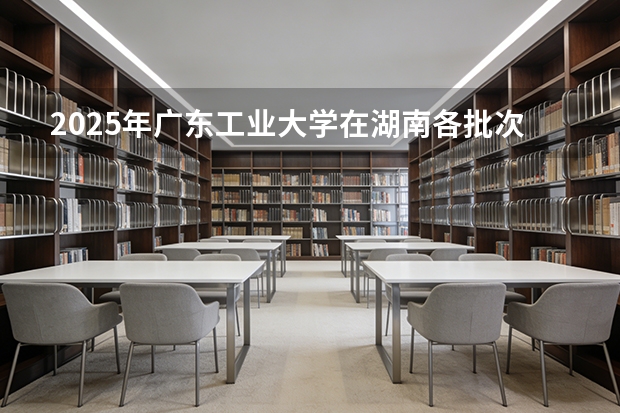 2025年广东工业大学在湖南各批次选科要求（2026年参考）