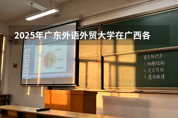 2025年广东外语外贸大学在广西各批次选科要求（2026年参考）