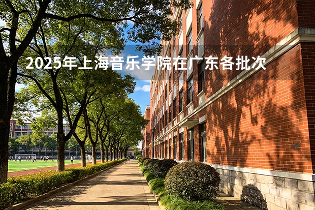 2025年上海音乐学院在广东各批次选科要求（2026年参考）