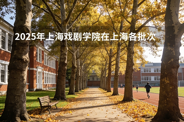 2025年上海戏剧学院在上海各批次选科要求（2026年参考）