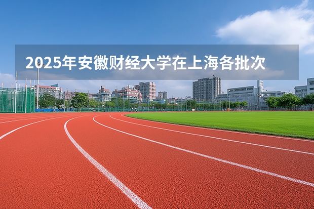 2025年安徽财经大学在上海各批次选科要求（2026年参考）