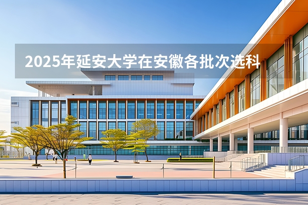 2025年延安大学在安徽各批次选科要求（2026年参考）