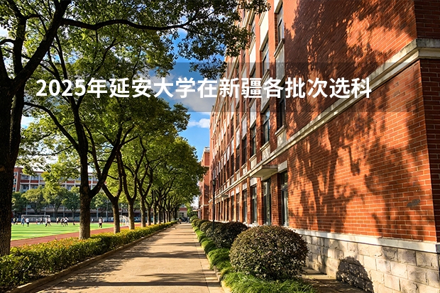 2025年延安大学在新疆各批次选科要求（2026年参考）