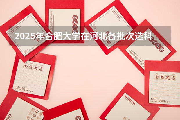 2025年合肥大学在河北各批次选科要求（2026年参考）