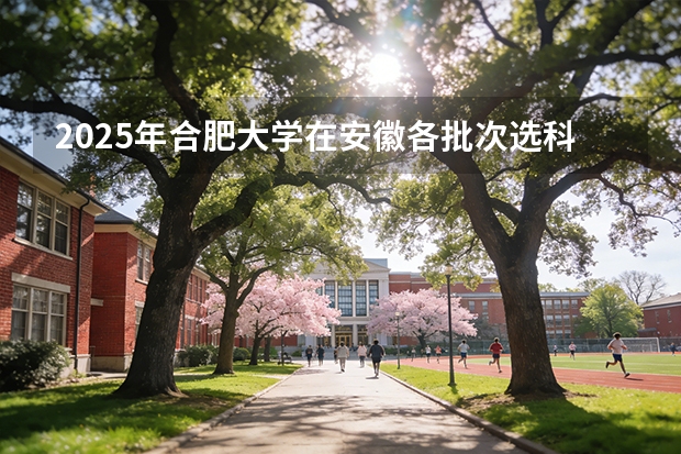 2025年合肥大学在安徽各批次选科要求（2026年参考）