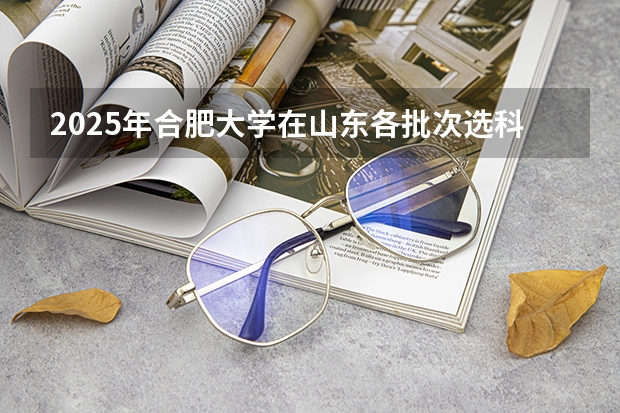 2025年合肥大学在山东各批次选科要求（2026年参考）