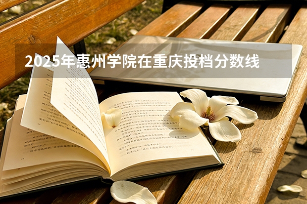 2025年惠州学院在重庆投档分数线（2026年参考）