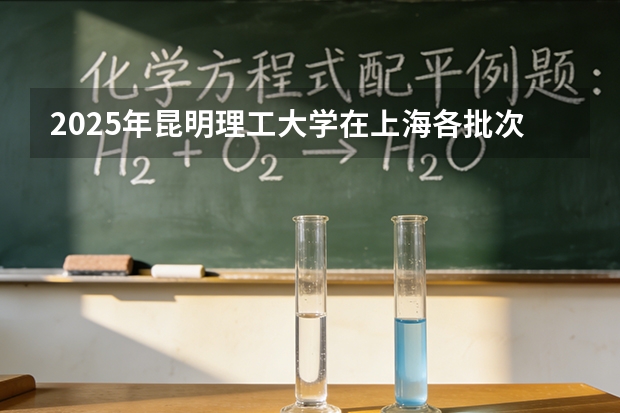 2025年昆明理工大学在上海各批次选科要求（2026年参考）